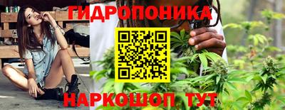 спиды Свободный