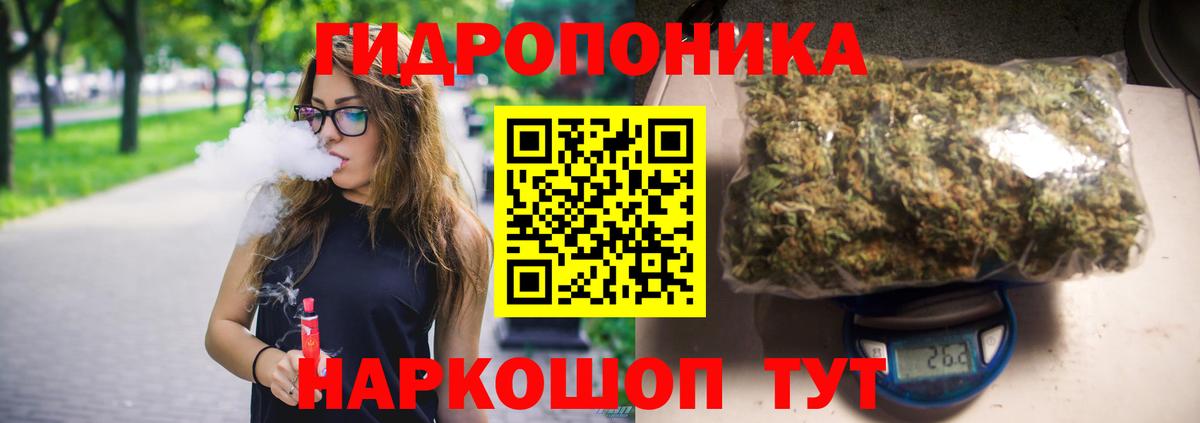 Каннабис семена  Вход с VPN  Каннабис гибрид  Конопля VHQ  Нальчик 